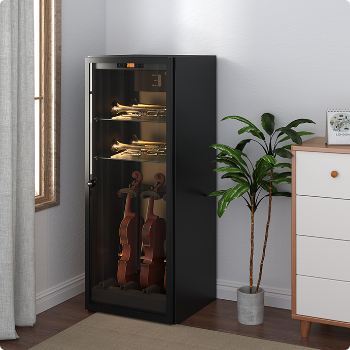 Violin Humidity Control Cabinet | ClimaCab Display