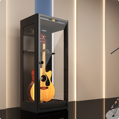 Guitar Humidity Control Cabinet | ClimaCab Display