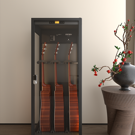 Guitar Humidity Control Cabinet | ClimaCab Display